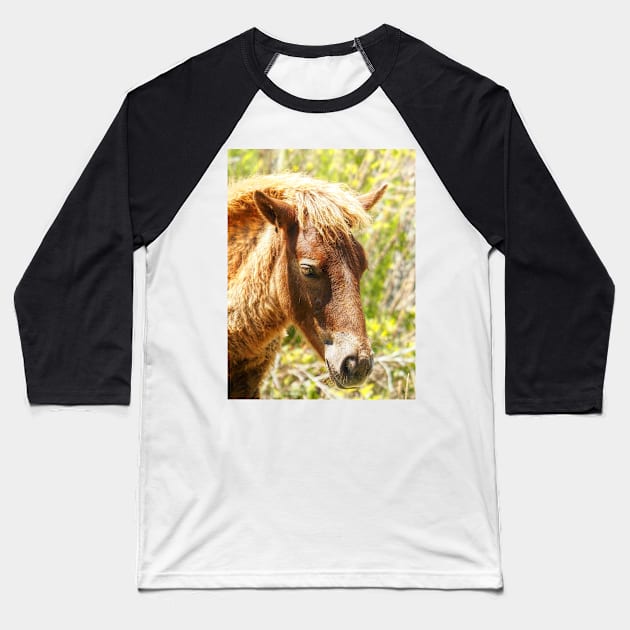 Assateague Pony Wyld Wynds Colt Baseball T-Shirt by Swartwout